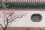 中国风庭院摄影