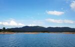 万绿湖湖景