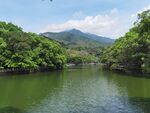 罗浮山山下风景 水
