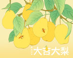 插画梨