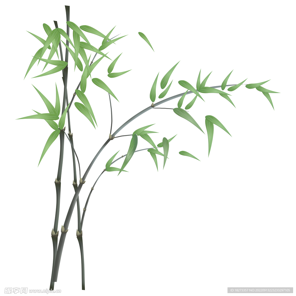 竹子