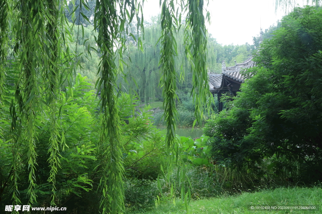 陶然亭风景  