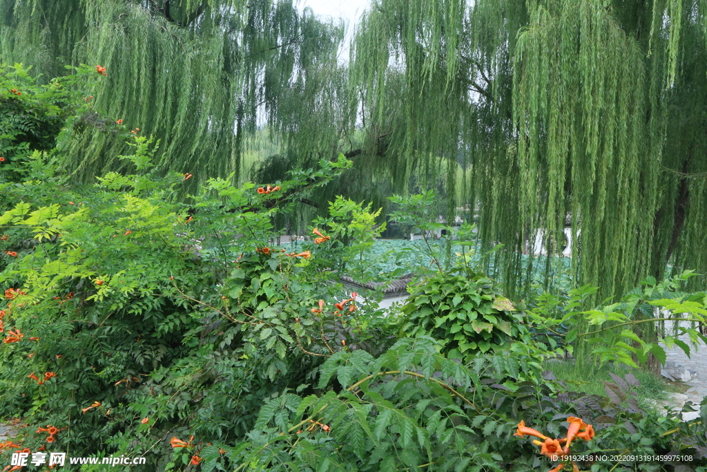 公园风景 