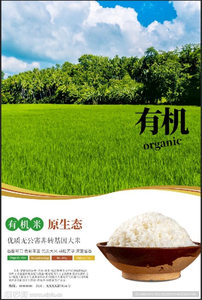 大米