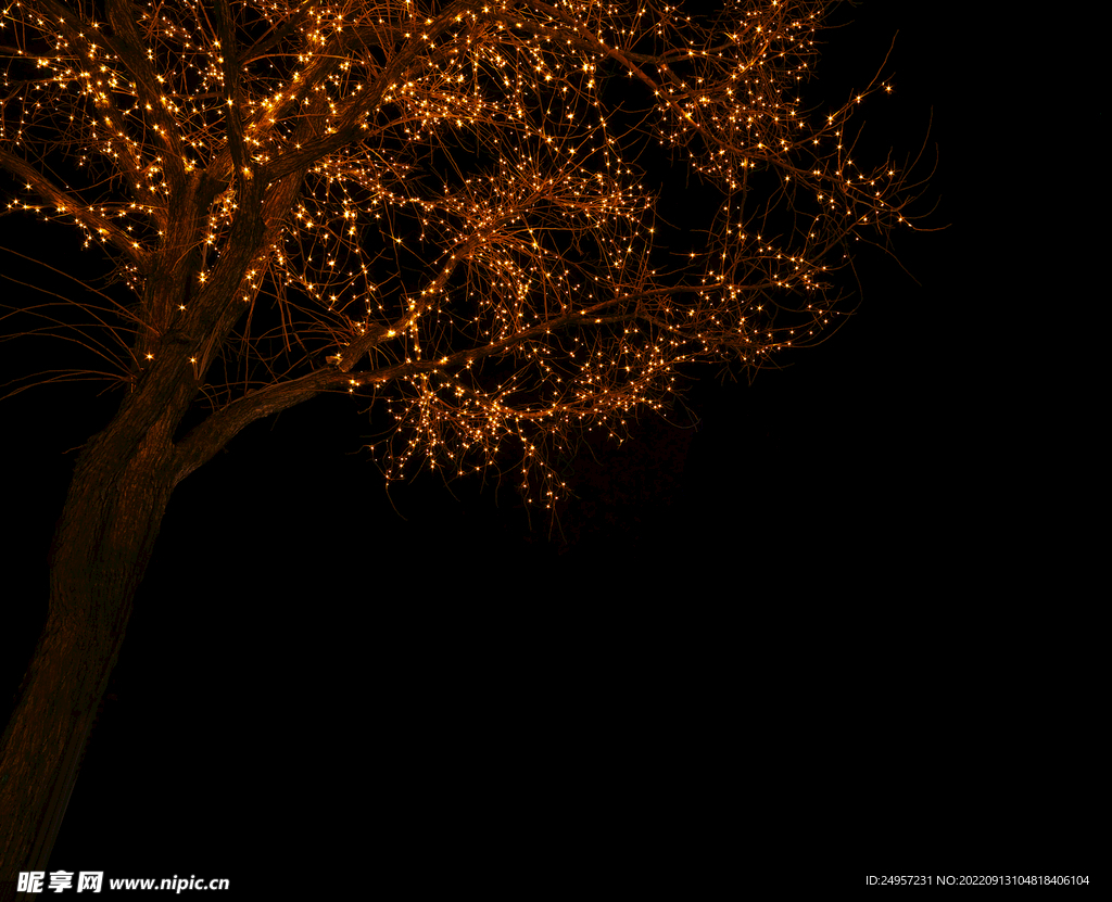 夜景背景