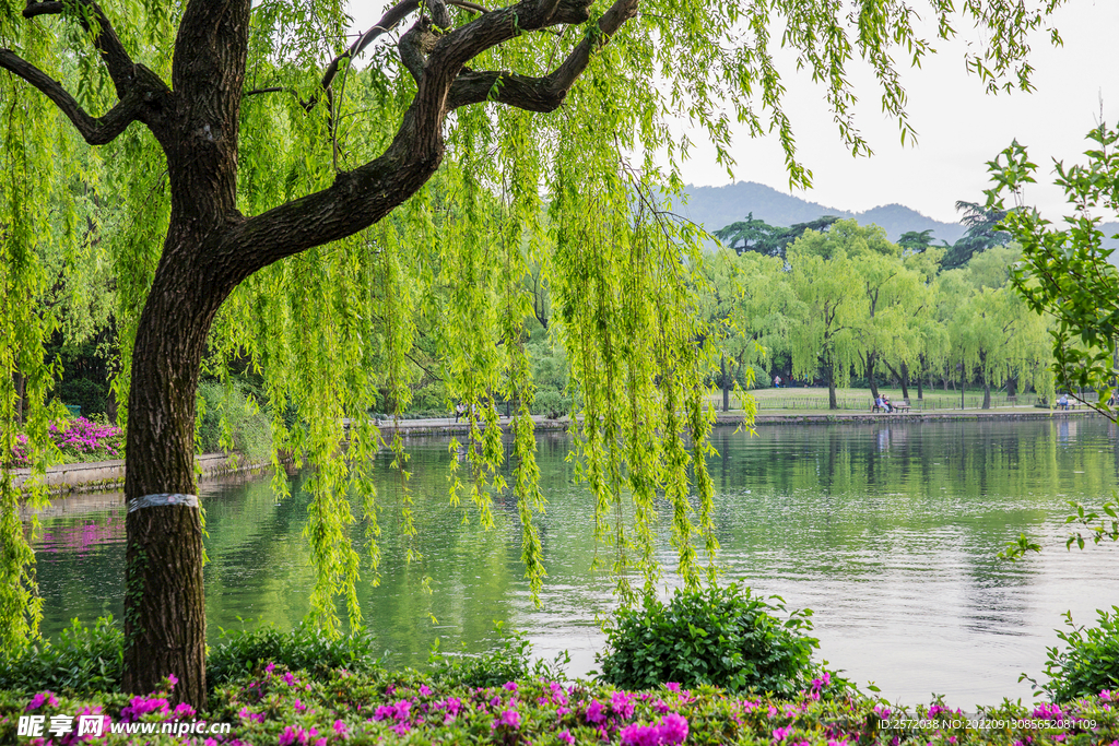 杭州西湖风景