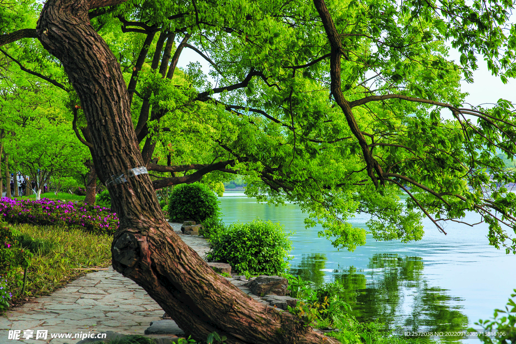 杭州西湖风景