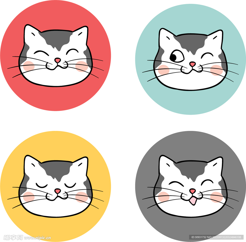 猫图片