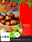自主采摘惠农行动