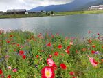 西岭雪山夏季