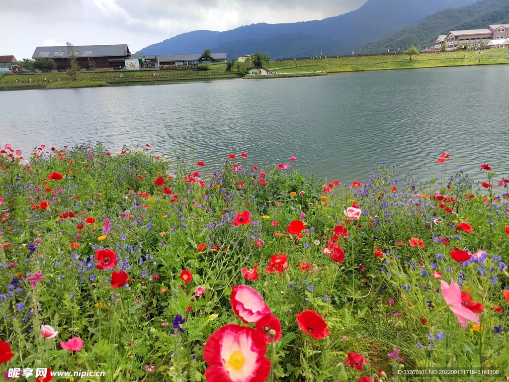 西岭雪山夏季