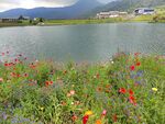 西岭雪山夏季