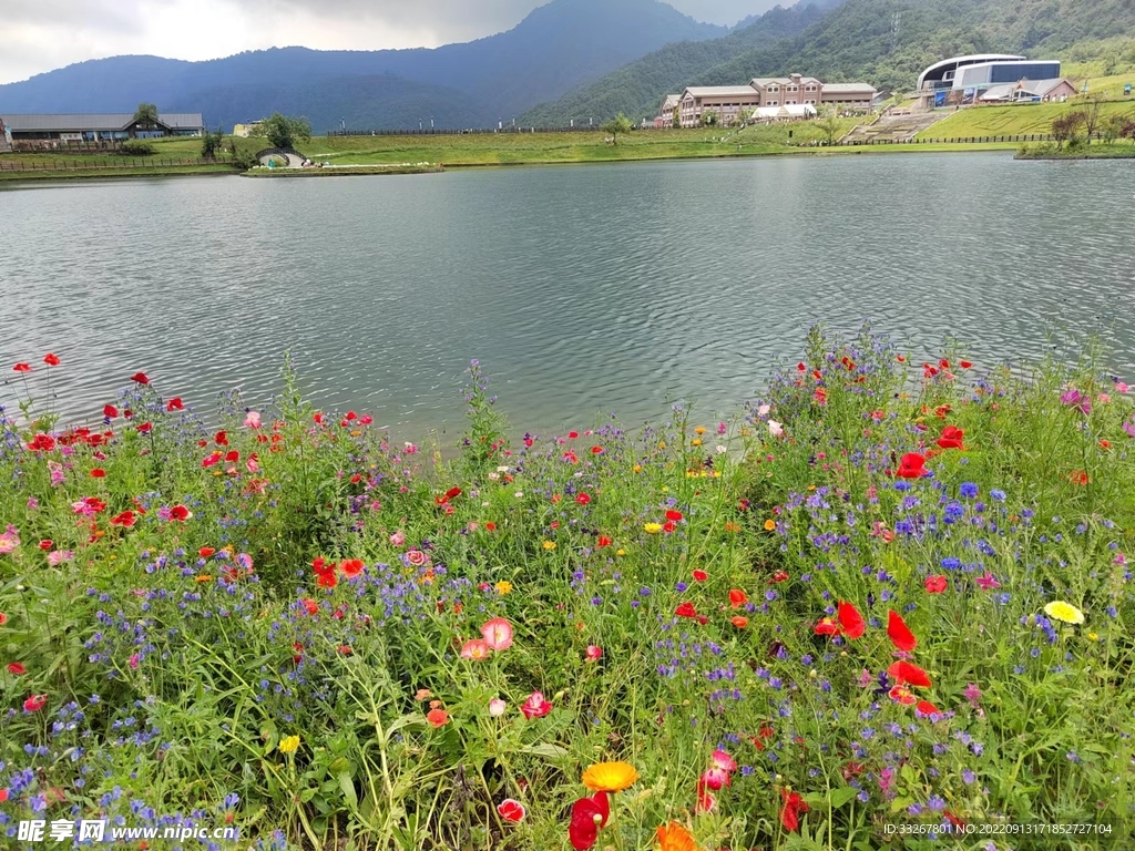 西岭雪山夏季