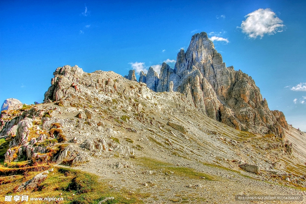 阿尔卑斯山