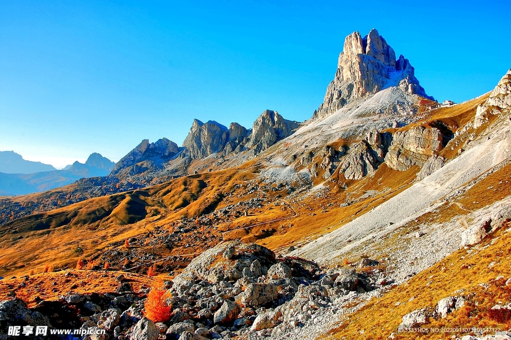阿尔卑斯山