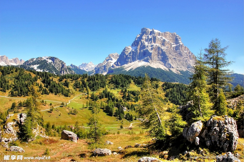阿尔卑斯山