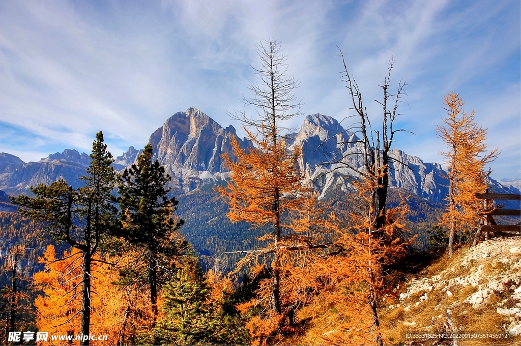 阿尔卑斯山