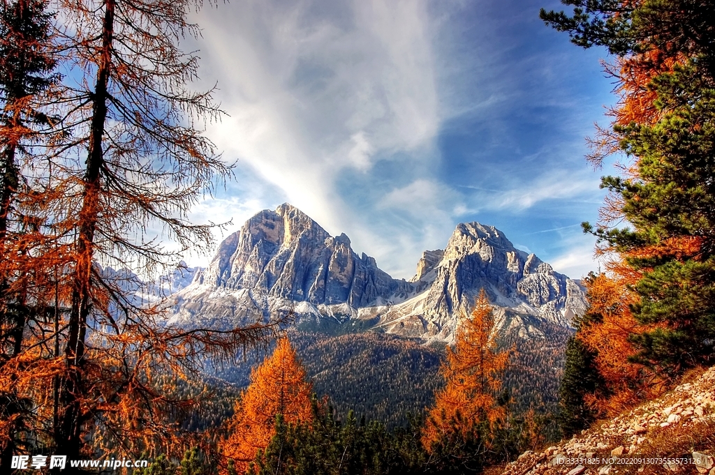 阿尔卑斯山