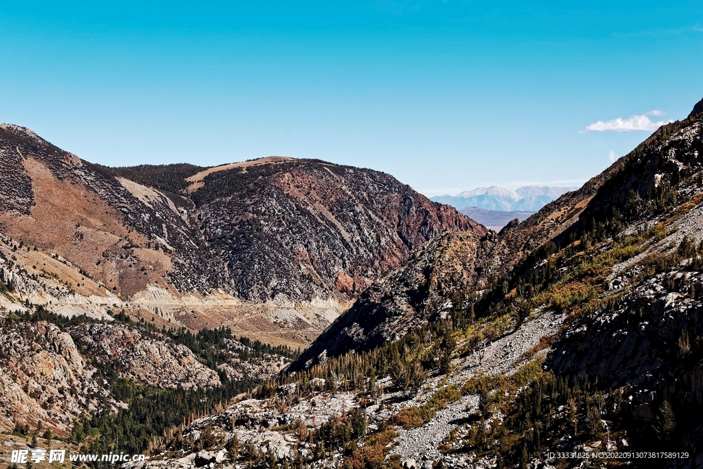 阿尔卑斯山
