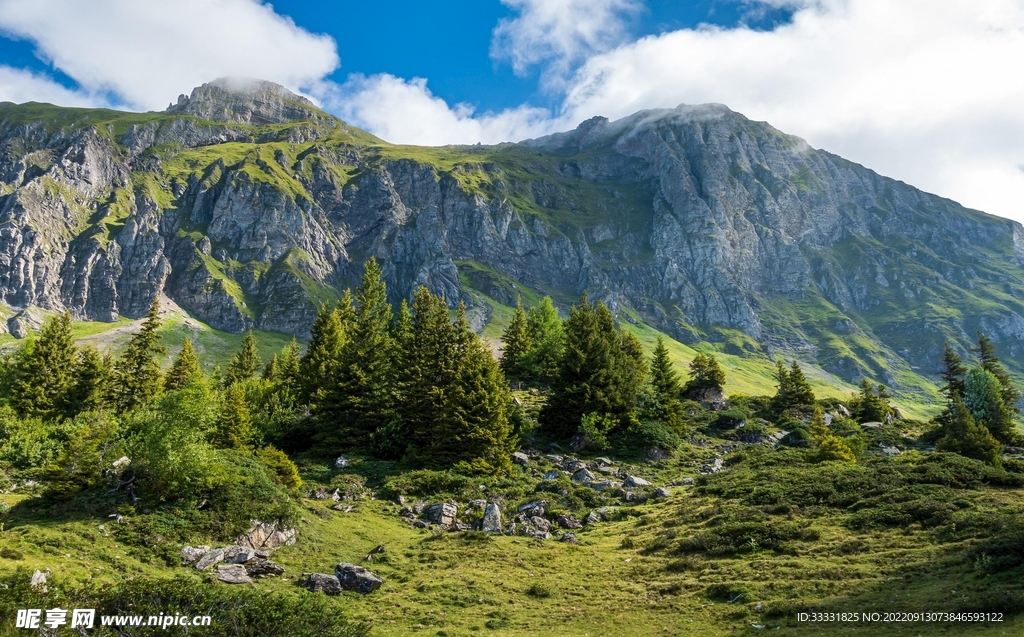 阿尔卑斯山