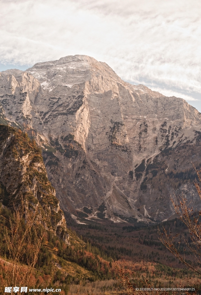 阿尔卑斯山