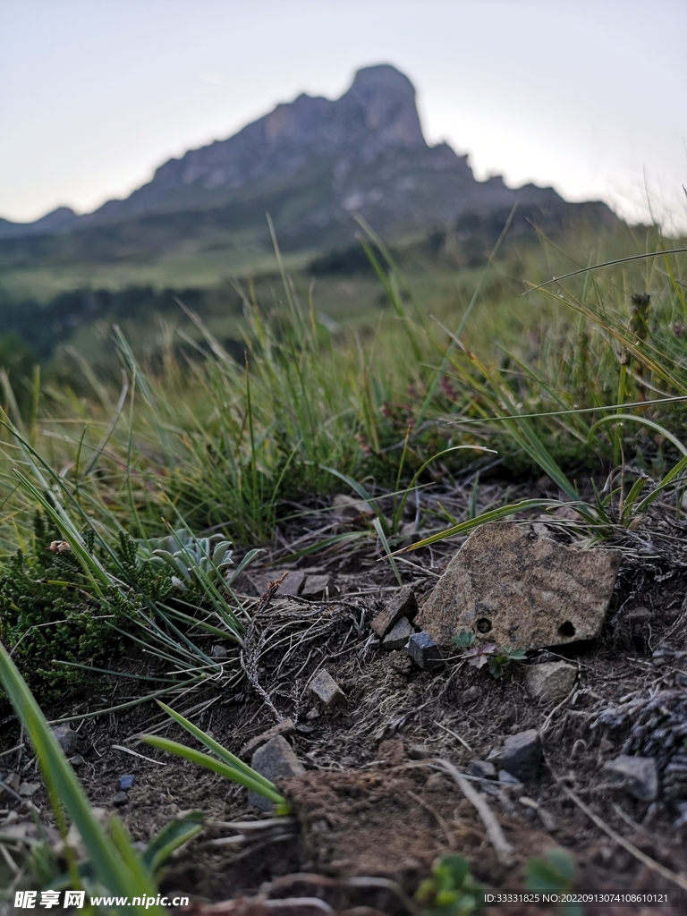 阿尔卑斯山