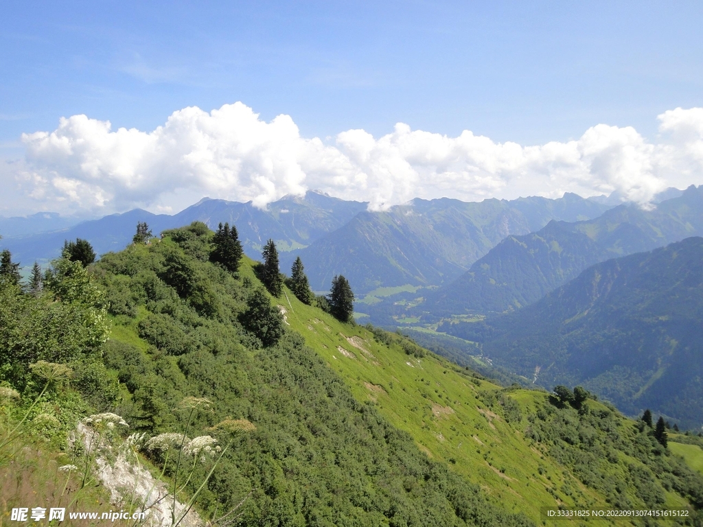 阿尔卑斯山