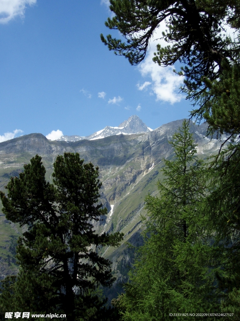 阿尔卑斯山