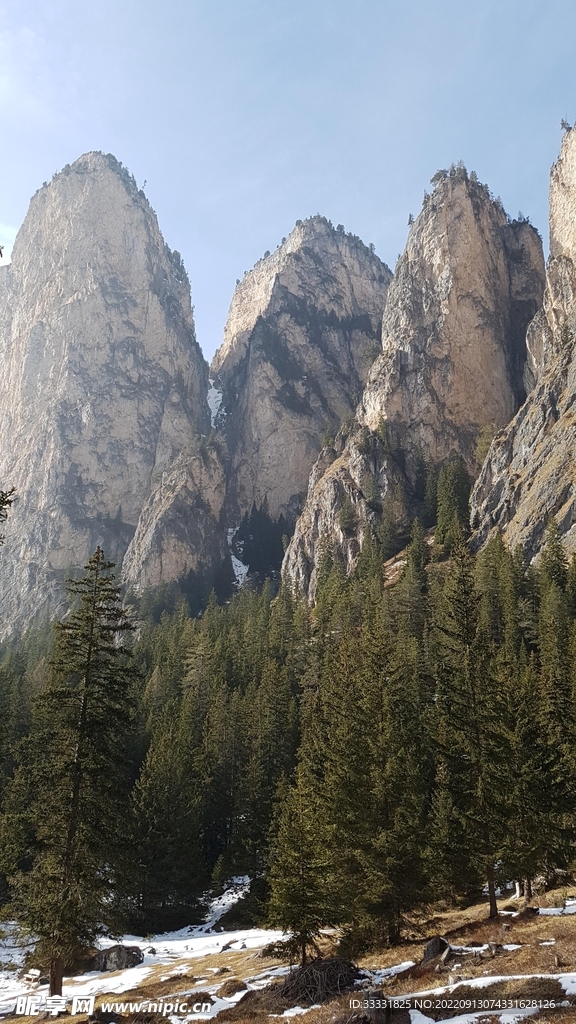 阿尔卑斯山