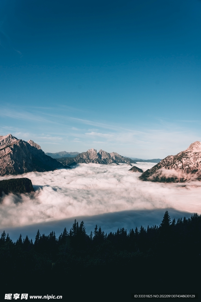 阿尔卑斯山