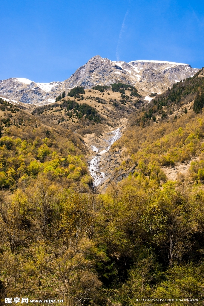 阿尔卑斯山
