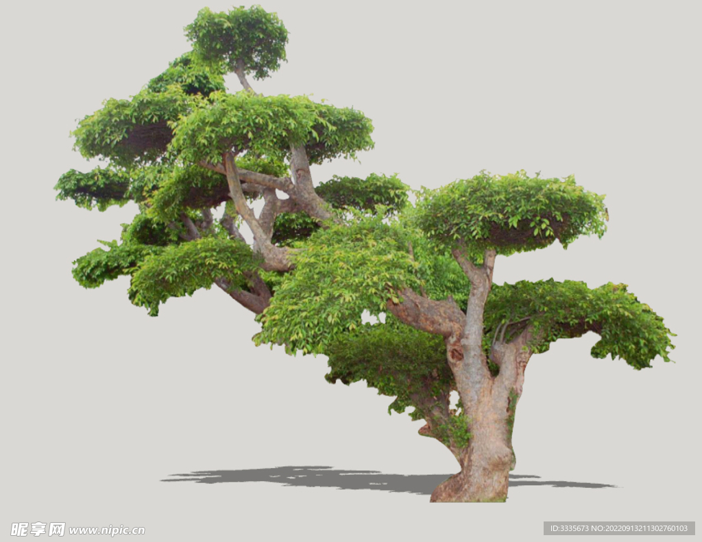 2D造型景观树