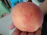 鲜桃图