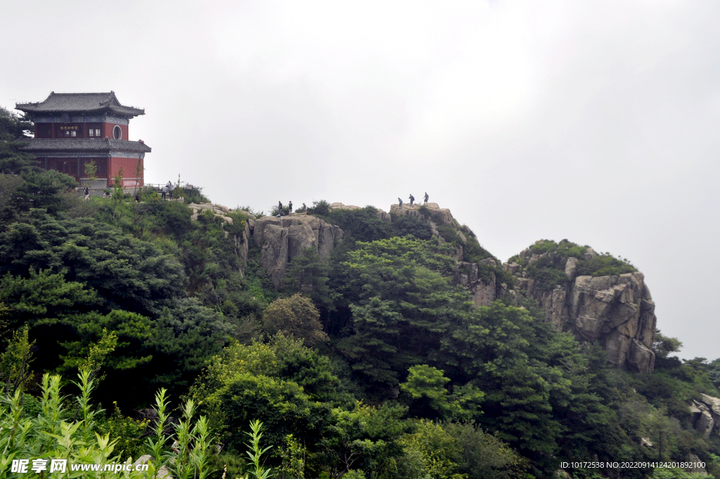 泰山