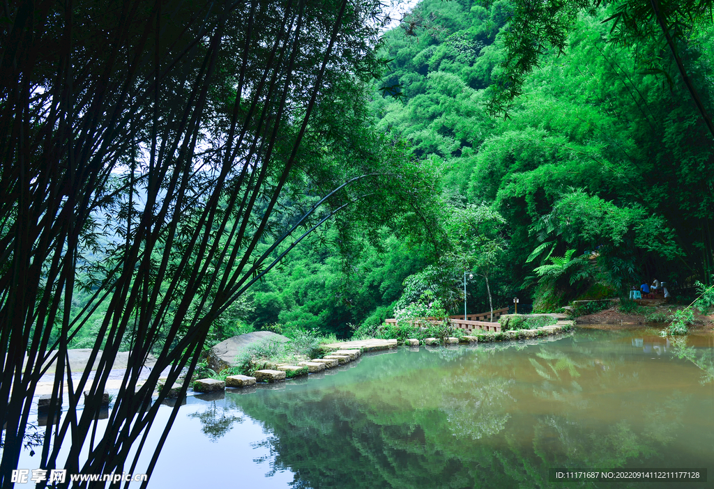 青山绿水 