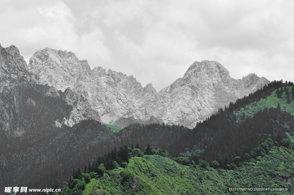 高山