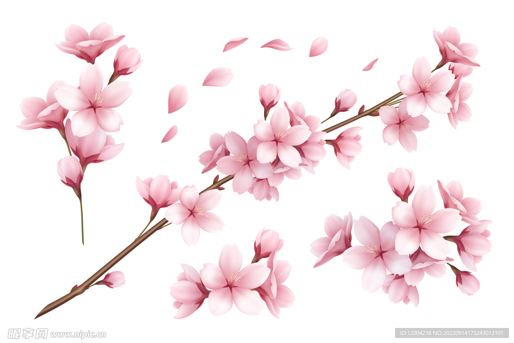 唯美桃花