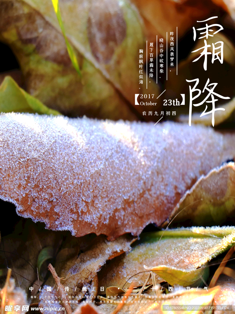  霜降海报  二十四 节气  