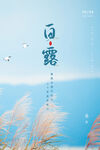 二十四节气白露海报