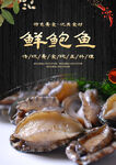 鲜鲍鱼
