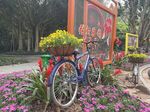 花丛