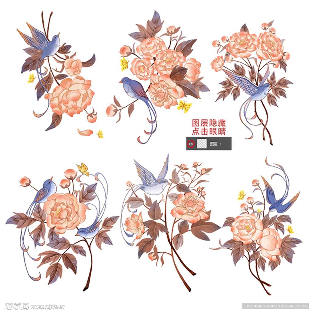 牡丹花