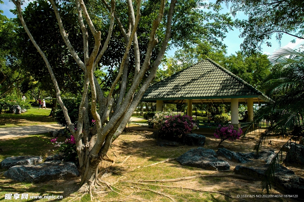 小屋