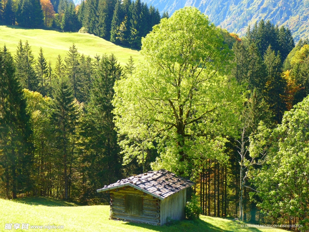 小屋