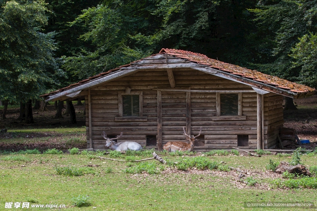 小屋
