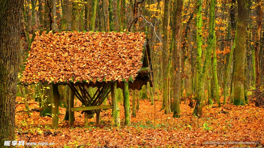 小屋