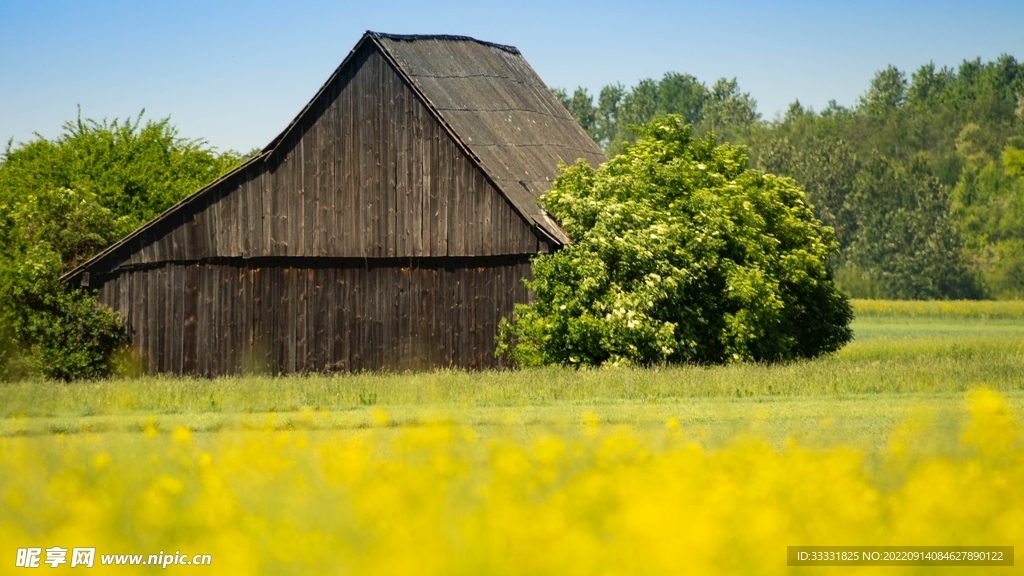 小屋