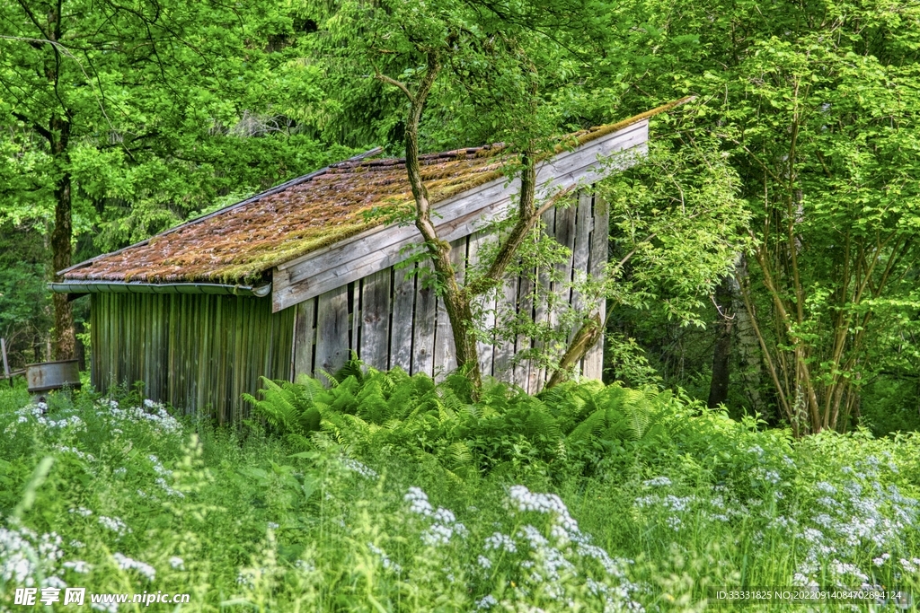 小屋