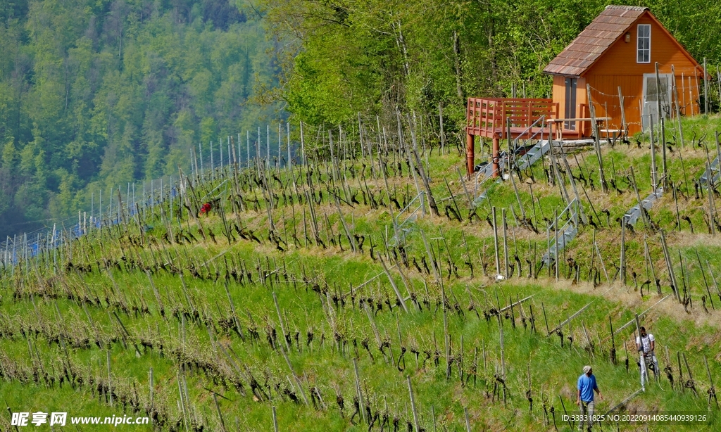 小屋
