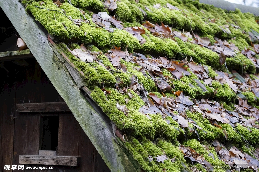 小屋